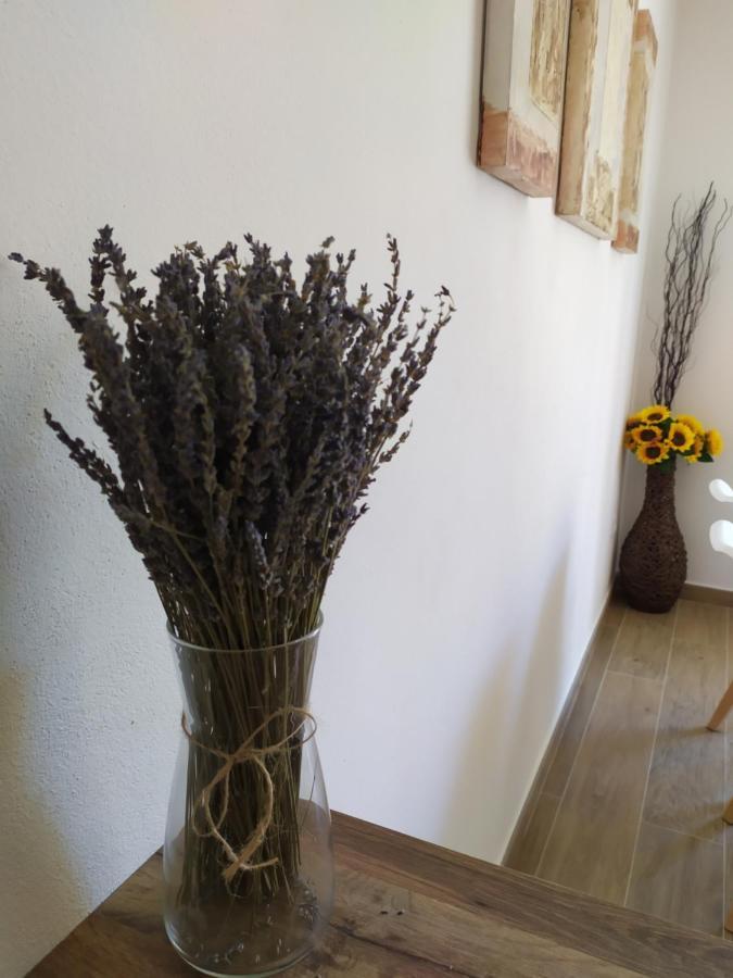 Apartamentos Xert Escapadas En Castellon Cerca De Morella Y Peniscola Chert Sant Mateu Kültér fotó